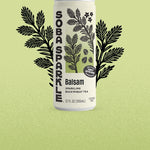 Sparklebuck Balsam sparkling buckwheat tea can on a light green background with decorative leaves.